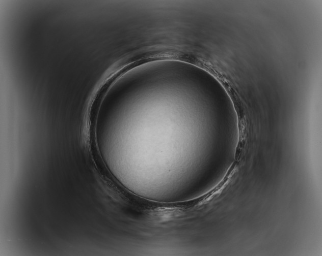 X0000094450150200711081312