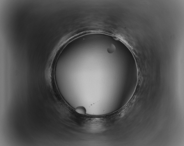 X0000094450151200711081312