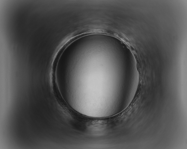 X0000094450152200711081312