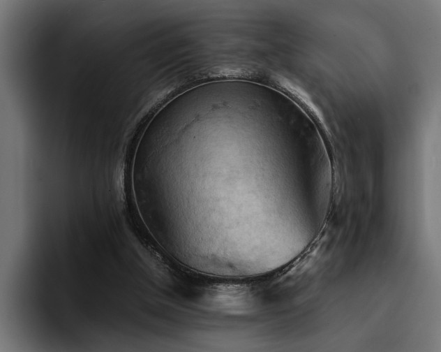 X0000094450154200711081312
