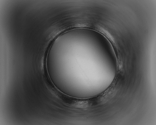 X0000094450155200711081312