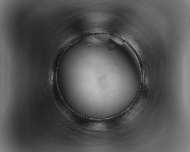 X0000094450157200711081312