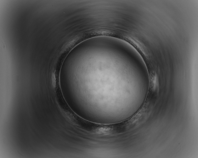 X0000094450158200711081312