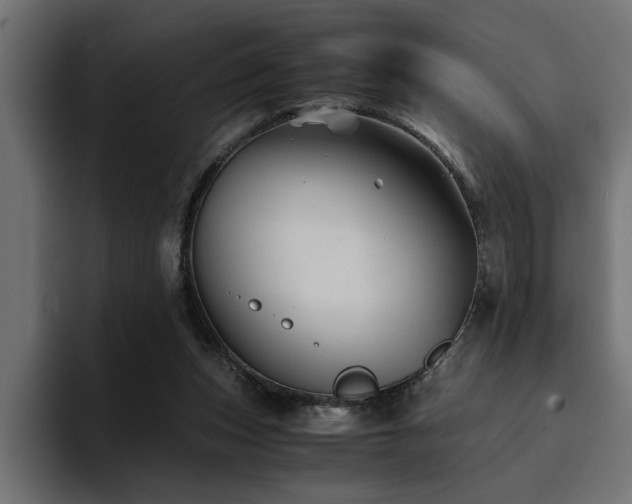 X0000094450159200711081312