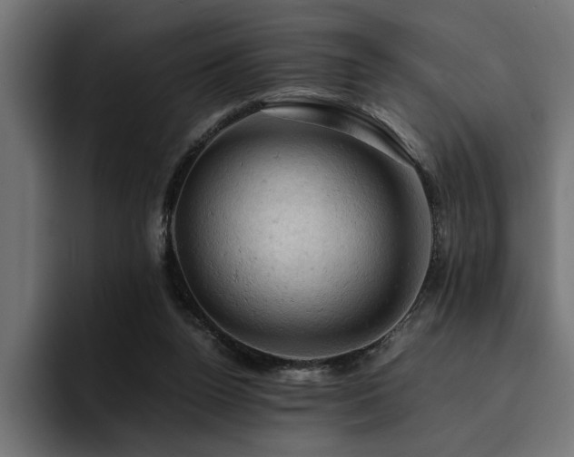 X0000094450160200711081312