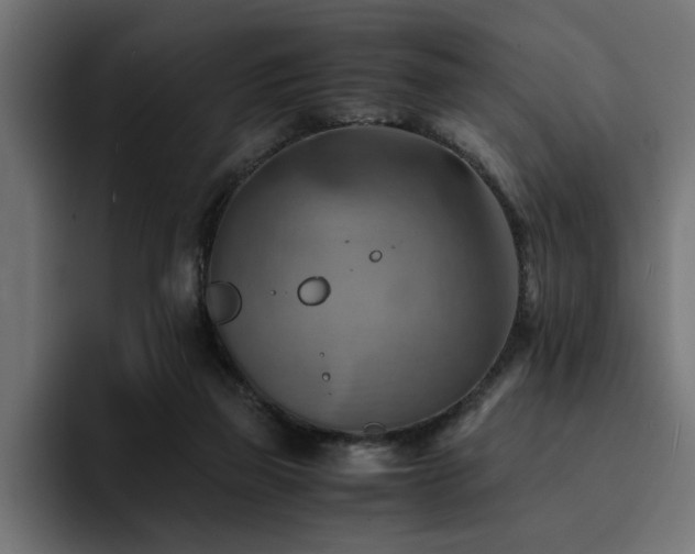 X0000094450165200711081312