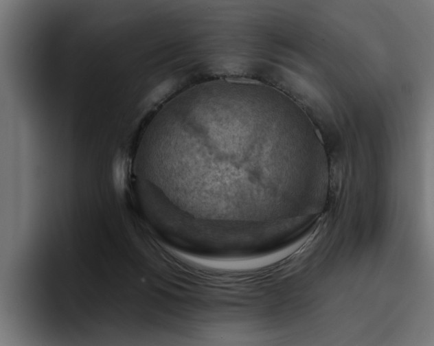X0000094450168200711081312