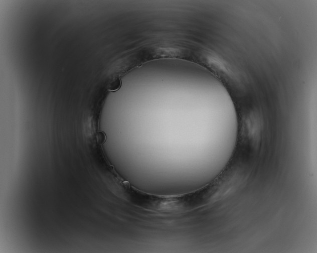 X0000094450173200711081312