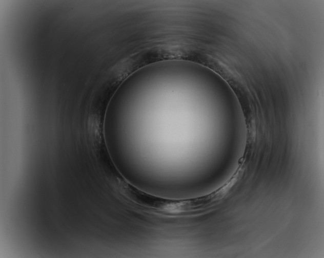 X0000094450178200711081312