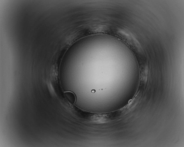 X0000094450179200711081312