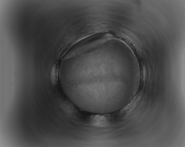 X0000094450180200711081312