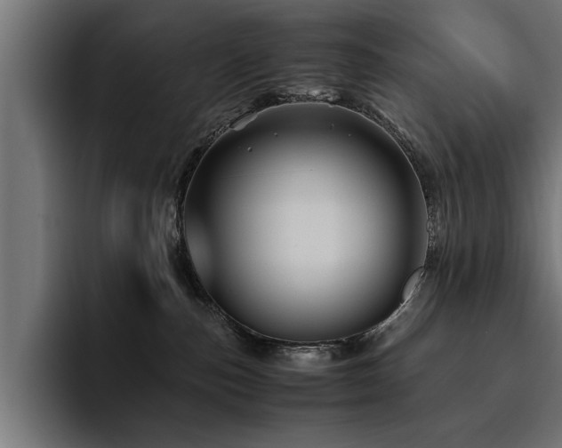 X0000094450187200711081312