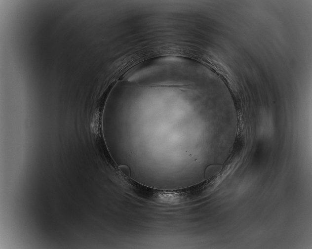 X0000094450189200711081312