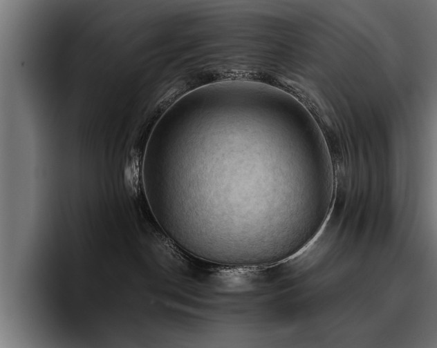 X0000094450190200711081312