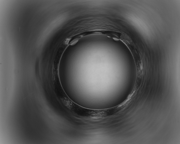X0000094450191200711081312