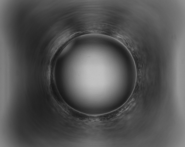 X0000094450194200711081312