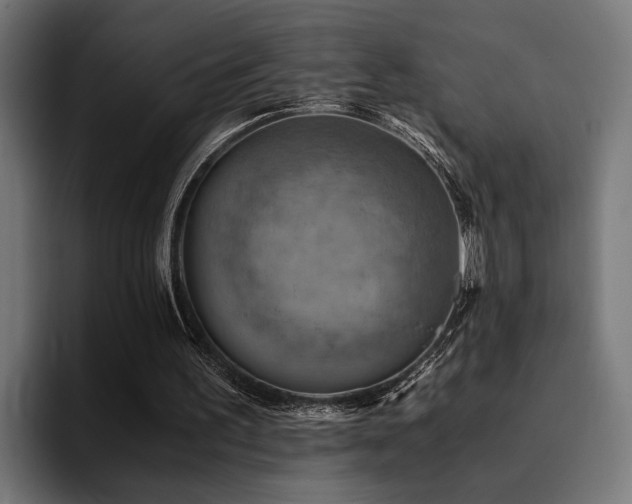 X0000094450195200711081312