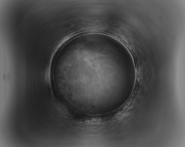X0000094450196200711081312