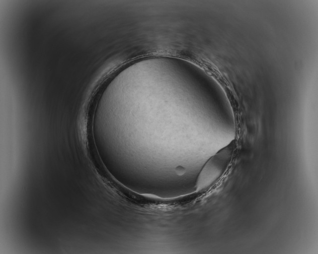 X0000094450197200711081312
