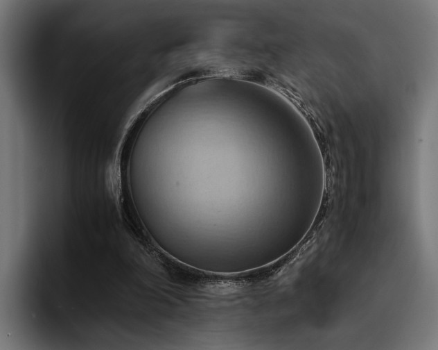 X0000094450198200711081312