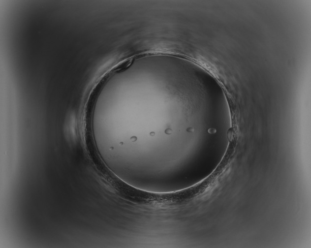 X0000094450199200711081312