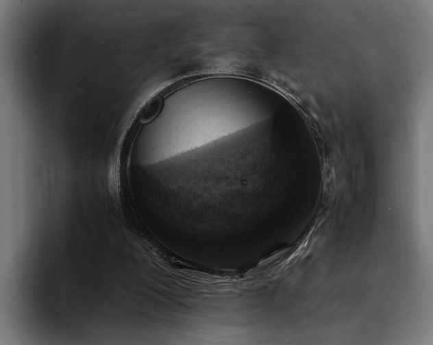 X0000094450200200711081312