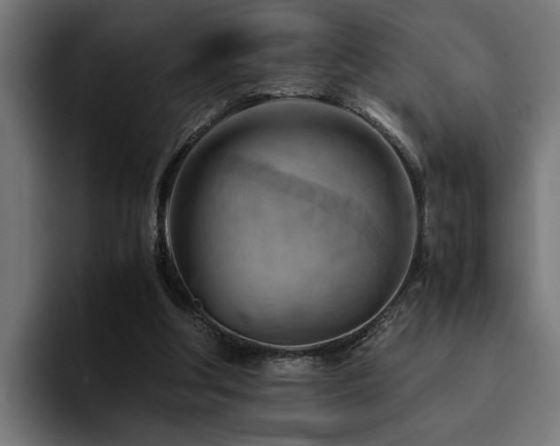 X0000094450202200711081312