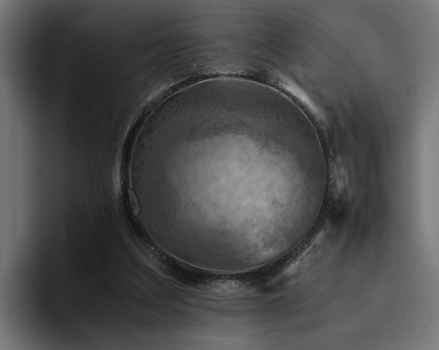 X0000094450203200711081312