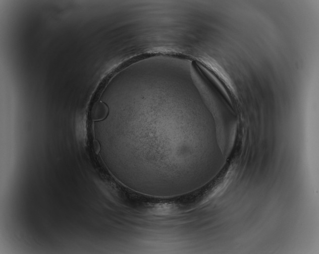 X0000094450204200711081312
