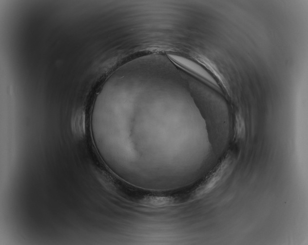 X0000094450205200711081312