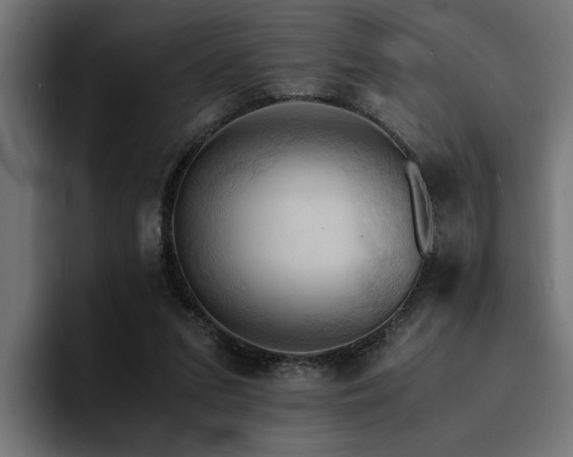 X0000094450207200711081312