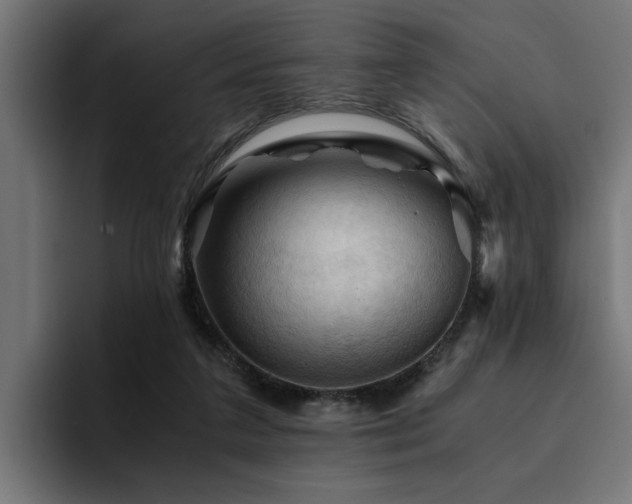 X0000094450211200711081311