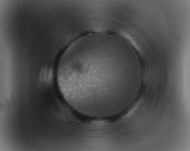 X0000094450213200711081311