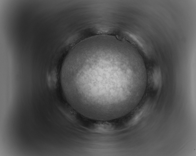 X0000094450215200711081311