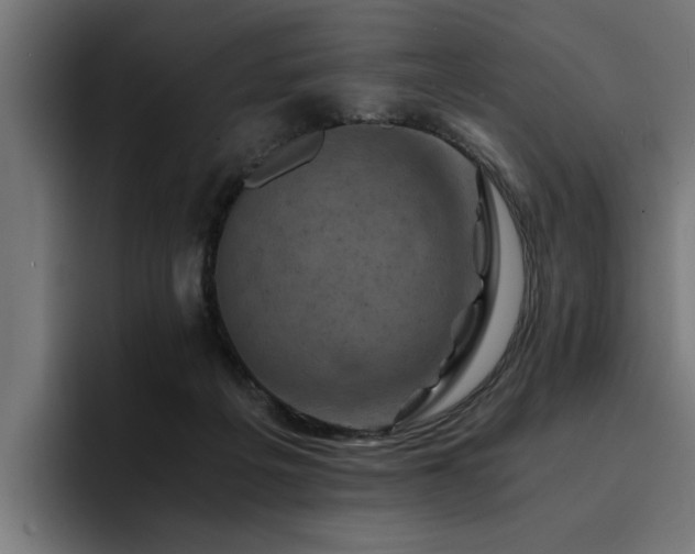 X0000094450217200711081311