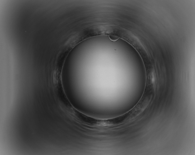 X0000094450218200711081311