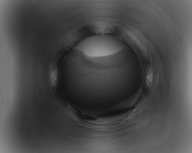 X0000094450219200711081311