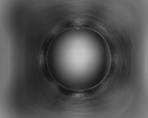 X0000094450220200711081311