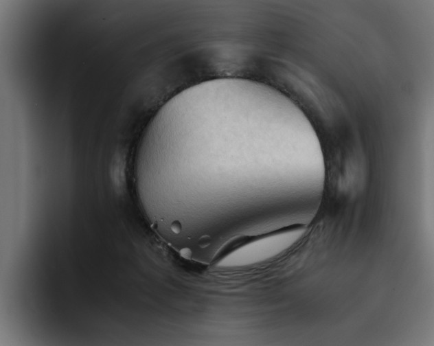 X0000094450221200711081311
