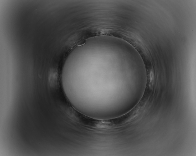 X0000094450222200711081311