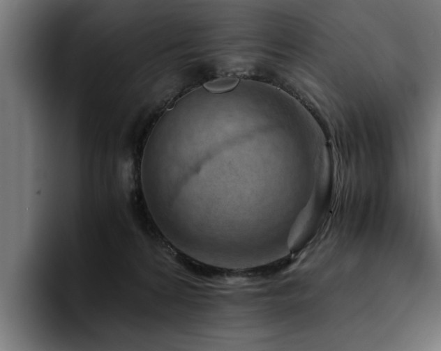X0000094450224200711081311