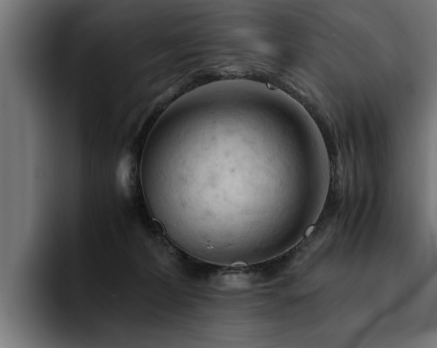 X0000094450228200711081311