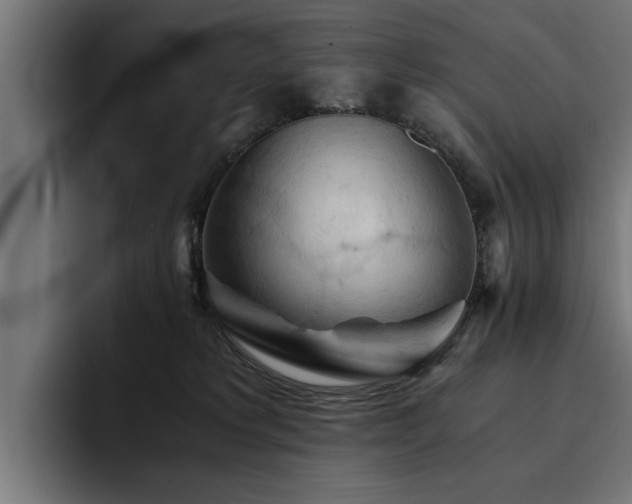 X0000094450229200711081311