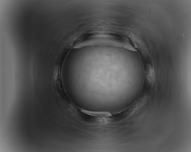 X0000094450233200711081311