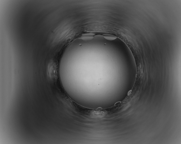X0000094450234200711081311