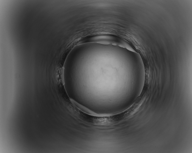 X0000094450237200711081311