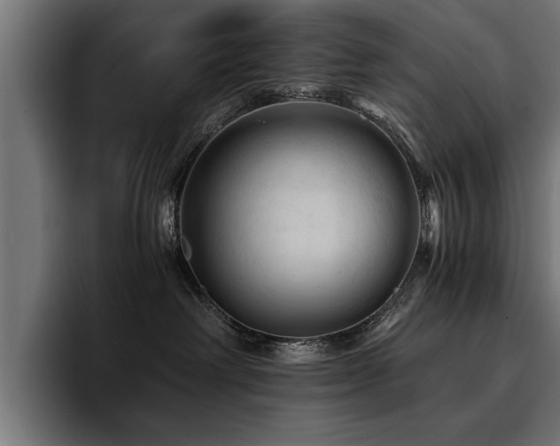 X0000094450238200711081311