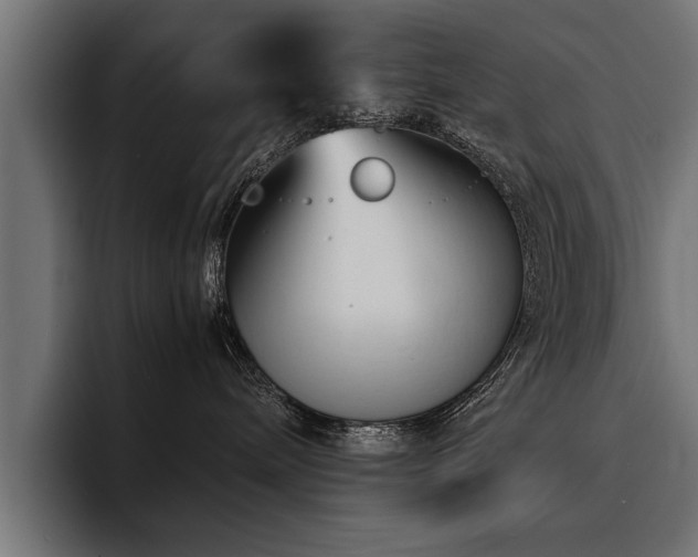 X0000094450240200711081311