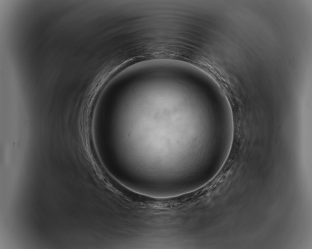 X0000094450241200711081310