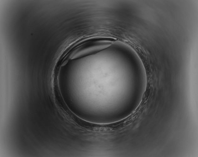 X0000094450242200711081310
